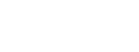 DELLIES  SKAAK