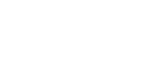 DELLIES KRIEKET